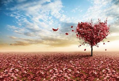 Fototapeta Heart and Tree 4084